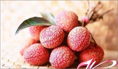 吃水果晚餐可以减肥吗?_中华会计网校