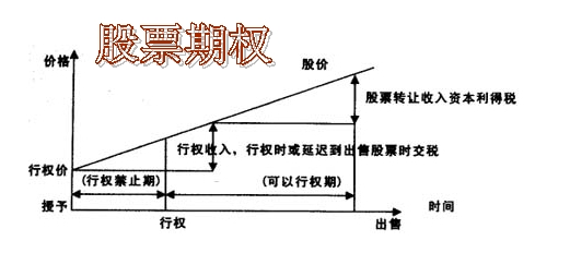 那些是我送你的股票期权啊