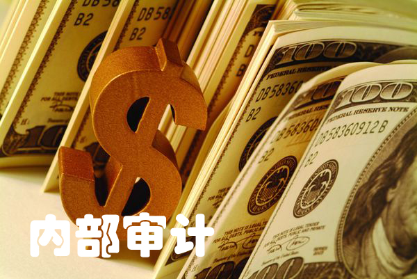 凯时app金财互联(002530)：2024年年度审计报告