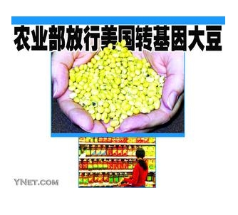北京反转基因志愿者到孟山都和农业部抗议【组图】 - 柏村休闲居 - 柏村休闲居 北京反转基因志愿者到孟山都和农业部抗议【组图】 - 柏村休闲居 - 柏村休闲居