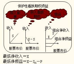 保护性看跌期权