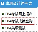 CPA成绩查询