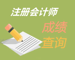 注册会计师成绩查询