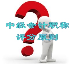 2015年中级会计师考试评分原则