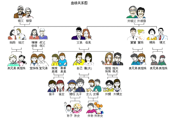 血缘关系图