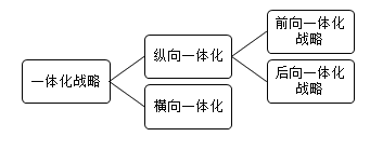 公司战略知识点