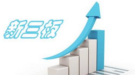 新三板上市策略及财税风险防范