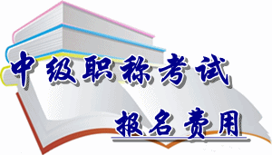 广西省2016年中级会计职称考试报名费用