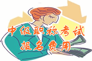 浙江省2016年中级会计职称考试报名费用
