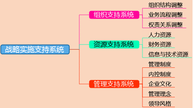 2017高级会计师《高级会计实务》知识点：战略实施