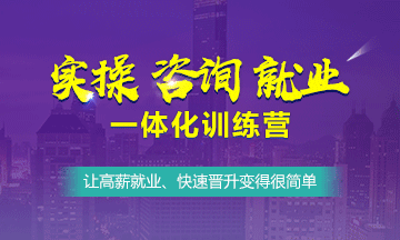 实操、咨询、就业一体化训练营