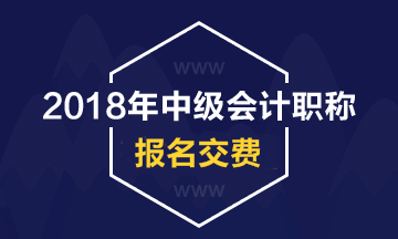 2018年湖南中级会计职称考试网上缴费及收费标准