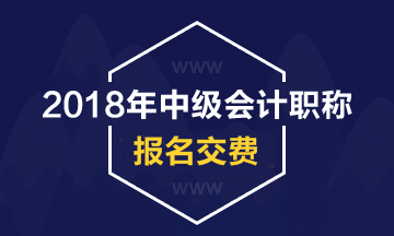 河南省2018年中级会计职称考试网上交费