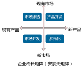 2018年《高级会计实务》知识点：企业战略