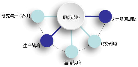 2018年高级会计师新教材知识点：职能战略