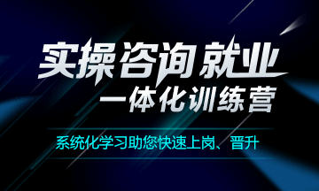 实操、咨询、就业一体化训练营