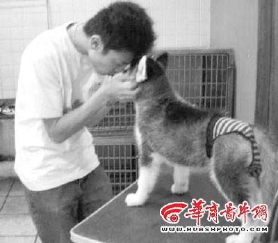 主人避免小狗户外遭受性骚扰为其穿贞操裤(图女生被时舔图片