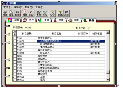 2010年会计从业初级会计电算化考试软件