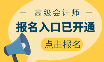 历届高会高分学员齐聚网校 报名2019高会刻不容缓