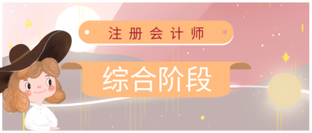 注册会计师综合阶段