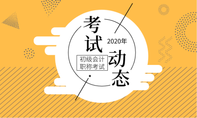 河北沧州2020年初级会计师考什么？