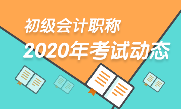 新疆2020年会计初级考试大纲公布了么？