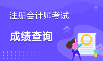 江西南昌2019年注册会计师考试成绩什么时候能查询？