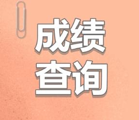 河南注册会计师历年成绩查询时间