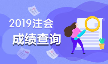 青海2019年注册会计师什么时候出结果？
