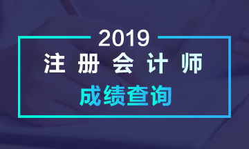 2019年四川成都注册会计师综合阶段考试成绩查询时间