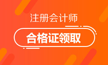 2019年宁夏银川注册会计师合格证书领取时间