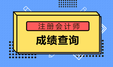 2019年贵州铜仁注会成绩查询
