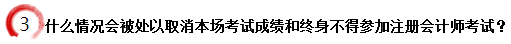 什么情况会被处以取消本场考试成绩和终身不得参加注册会计师考试？