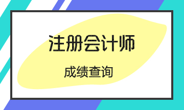 2019年浙江注册会计师成绩查询