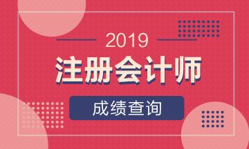 2019年广西南宁注会成绩查询网址是哪个？