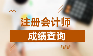 上海2019年注册会计师考试成绩查询