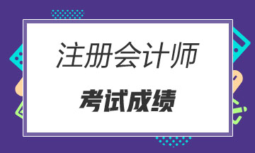 2019年广东注册会计师成绩查询