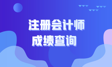 浙江2019年注册会计师成绩查询时间