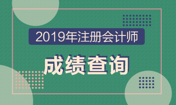 上海2019年CPA成绩查询时间