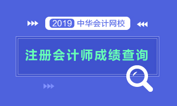上海2019年注册会计师考试成绩