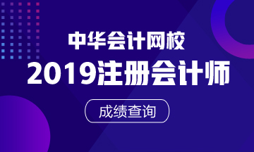 重庆2019年注册会计师官方成绩查询入口