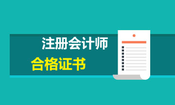 云南2019年注册会计师合格证
