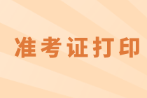 贵州2020年初级经济师准考证打印网址是什么？