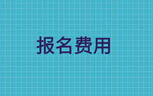 云南省物价局关于2020年注册会计师考试收费标准的通知