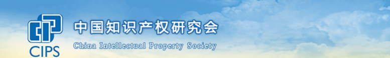 中国知识产权研究会