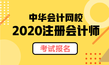 河南注册会计师2020年报名4月30日结束