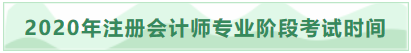 注册会计师专业阶段考试时间