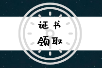 广安市2019年初级经济师证书领取时间在什么时候？