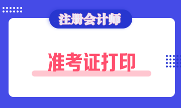 2020年广东注册会计师准考证打印时间