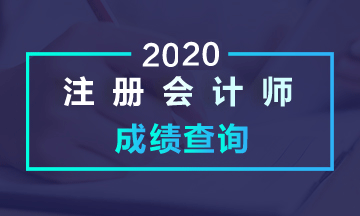 浙江2020年注会成绩查询时间
